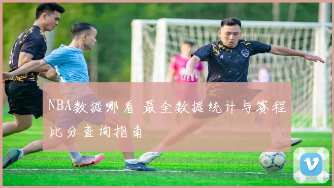 NBA数据哪看 最全数据统计与赛程比分查询指南